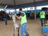 Julgamento de bovinos marca penúltimo dia da 10ª FAIC, em Iporã do Oeste