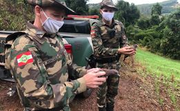 Polícia Militar Ambiental promove diversas ações alusivas aos 185 anos da PM e aos 30 anos da PMA