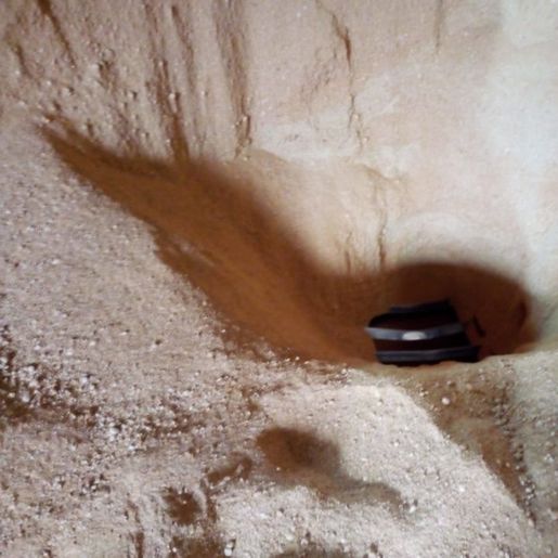 Trabalhador morre soterrado em silo de farelo de soja em SC