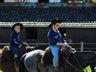 SMO: Grupo de Cavalarianos promove o 6º Acampamento Farrapo