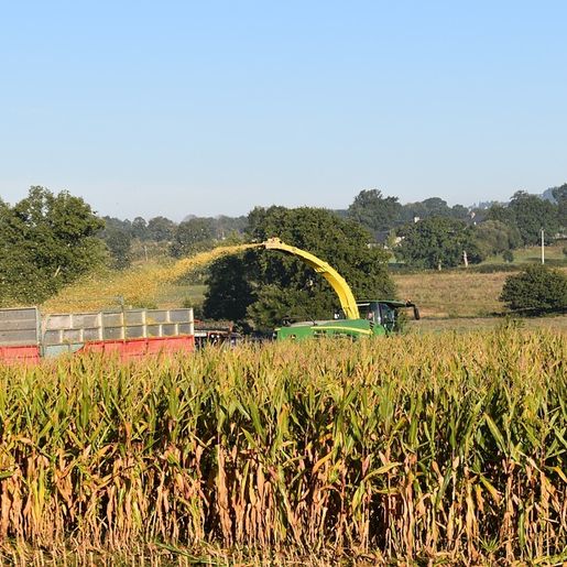 Secretaria de Agricultura intensifica serviços para confecção de silagem