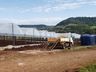 Empreendedor aposta na produção de hortifrutis no interior de Mondaí