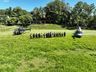 Polícia Ambiental registra queda nas apreensões durante a Piracema