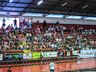 São Miguel Futsal é campeão invicto da Liga Catarinense Série Bronze