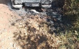 Condutor bate em árvore e veículo pega fogo