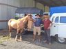 Cavalgada da Integração passa por São José do Cedro