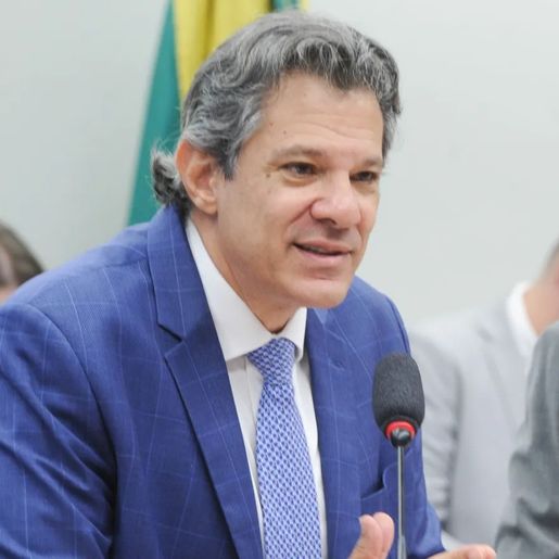 Plano contra tarifaço sai nos próximos dias com ações para indústria, diz Hadadd