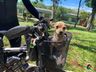 Baiano que viaja o mundo de bicicleta passa por Itapiranga