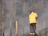 Bombeiros combatem incêndio em área de reflorestamento por 27 horas