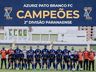 Azuriz Pato é campeão do Campeonato Paranaense 2ª Divisão de 2020