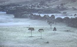 Serra de SC registra geada e temperatura de 4°C em pleno verão