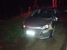 Polícia Militar registra acidente de trânsito com atropelamento de animal