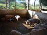 VÍDEO: Aberto período de inscrição para o Cedup Campo Erê