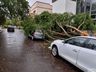 Temporal deixa rastro de destruição em Iraí; confira fotos