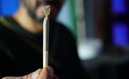 Maconha pode reduzir chances de engravidar, diz estudo