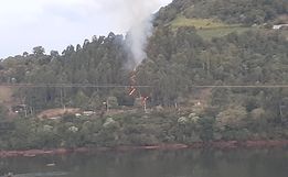 Incêndio atinge área de reflorestamento