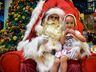 Acendimento das luzes marca abertura do Natal Regional 2022 em SMOeste
