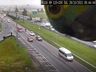 Vídeo: Papagaio aparece em câmera de monitoramento da BR-116, no Paraná