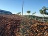 Prefeitura de Iporã do Oeste registra furto de adubo do parque da 10ª FAIC
