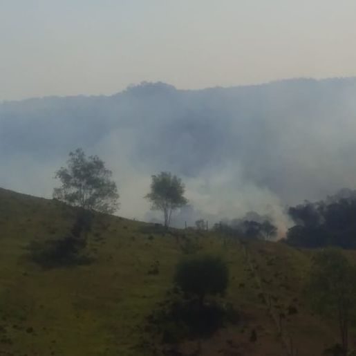 Incêndio florestal de grandes proporções é registrado no mato da Argentina