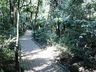 Parque Augusta Crestani tem novo zelador