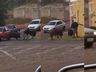 VÍDEO: porco morde motoboy violentamente durante entrega