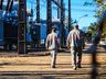VÍDEO: Pombo causa curto-circuito e deixa mais de 35 mil consumidores sem energia