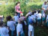 Alunos fazem visita ao Lago Municipal e participam de plantio de árvores em Cedro