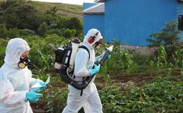 Casos de dengue chegam a 13 em São Miguel do Oeste