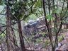 Caminhão sai da pista e tomba às margens da BR-163