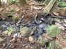Contaminação por dejetos suspende abastecimento de água em Descanso e Belmonte