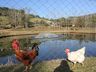 São João do Oeste busca recurso federal para estimular turismo rural