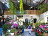 Central Flor, Floricultura e Paisagismo comemora 1 ano em São Miguel do Oeste