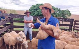 Ovino caprinocultura é trabalhada com produtores em Guarujá do Sul