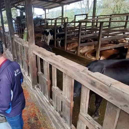 Tunápolis realiza reunião técnica  sobre saúde animal e formulação de dieta leiteira