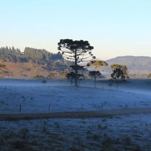 São Miguel do Oeste registra 2,15°C em nova onda de frio em Santa Catarina