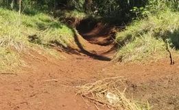 PF descobre em SC e PR entrada ilegal de 5,7 mil bois vindos da Argentina