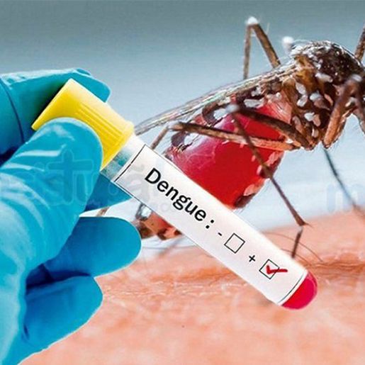 Saltinho tem um caso de Dengue confirmado
