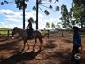 VÍDEO: Relação entre humanos e cavalos traz benefícios para o corpo e mente 