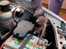 ONG faz alerta sobre animais que buscam abrigo em veículos
