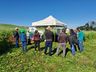 Dia de campo reúne cerca de 30 agricultores em Bandeirante