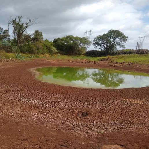 Município distribui 90 mil litros de água por dia para 50 famílias