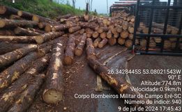 Caminhão carregado com toras tomba entre Campo Erê e Marmeleiro