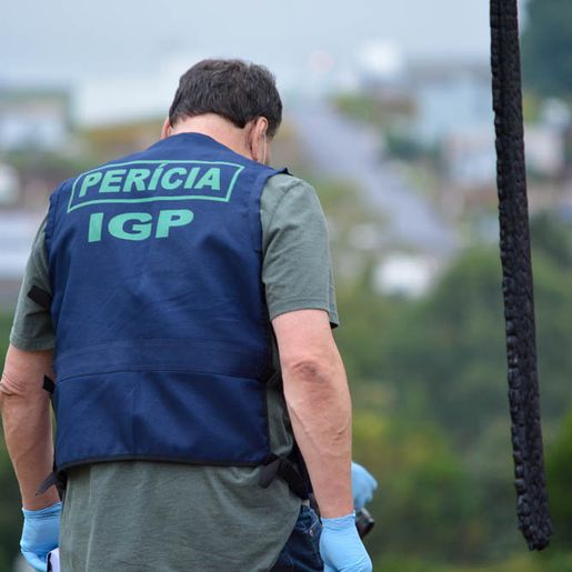 Moradora encontra feto no quintal  de casa em cidade catarinense