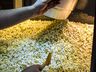População assiste Velozes e Furiosos 9 no Cine Peperi; veja as fotos