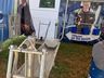 Terceiro dia de Expo Cedro 2023
