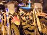 Homem é preso por danos, ameaça e injúria racial contra policial 