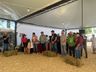 Julgamento do gado leiteiro e rodada de negócios movimentam o sábado na Expo Campo Erê