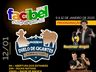 Facibel 2025 traz shows, rodeios e cultura para Belmonte em janeiro