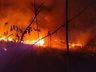 Incêndio florestal mobiliza Corpo de Bombeiros por quatro horas 